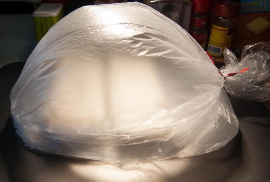  photo pre-germinatingeggplantsandpeppers2_zpsda547a31.jpg